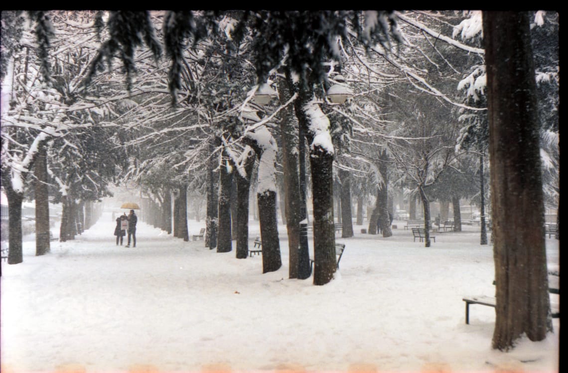 La neve