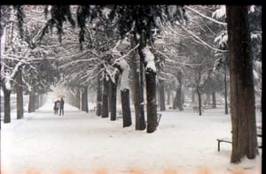 La neve